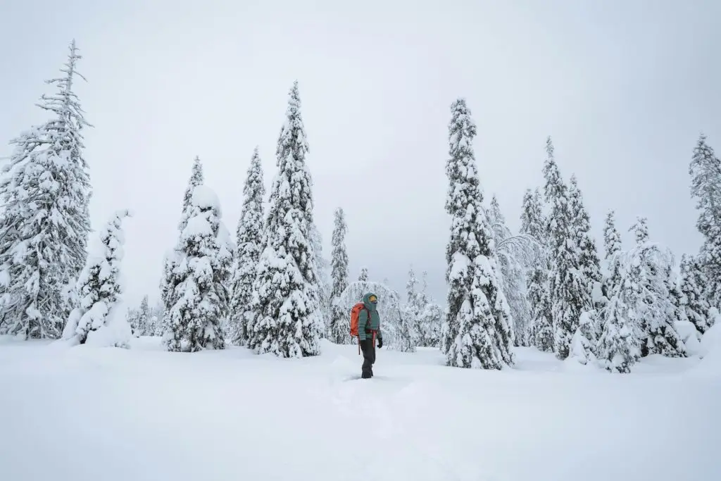 Woman trekking through the snow in Lapland, Finland