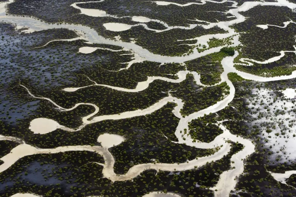 Marshes viewed from the air on the Turks and Caicos Islands. Water channels.