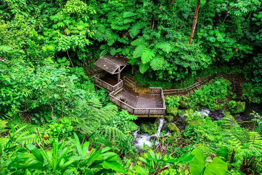Observation deck at the Emerald Pool in Dominica