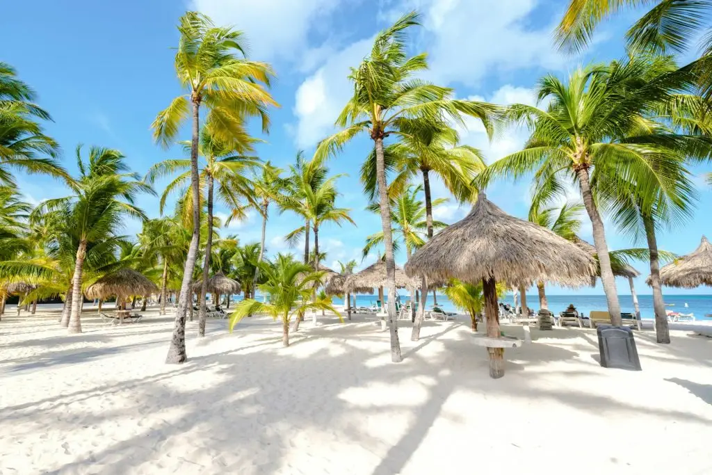 Palm Beach Aruba Caribbean, white long sandy beach with palm trees at Aruba Antilles