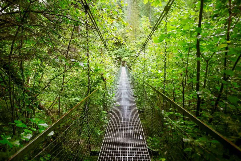 Suspension metal bridge. The Tatras, Slovakia
