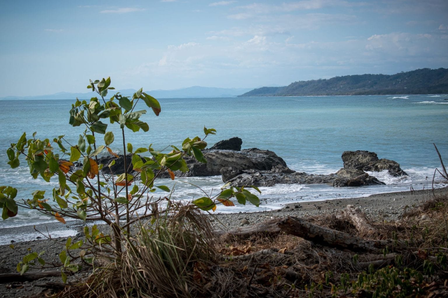 The beautiful beach of Malpais Costa Rica. Blue sea, rocks and a tree on the beautiful beach of Malpais, Costa Rica