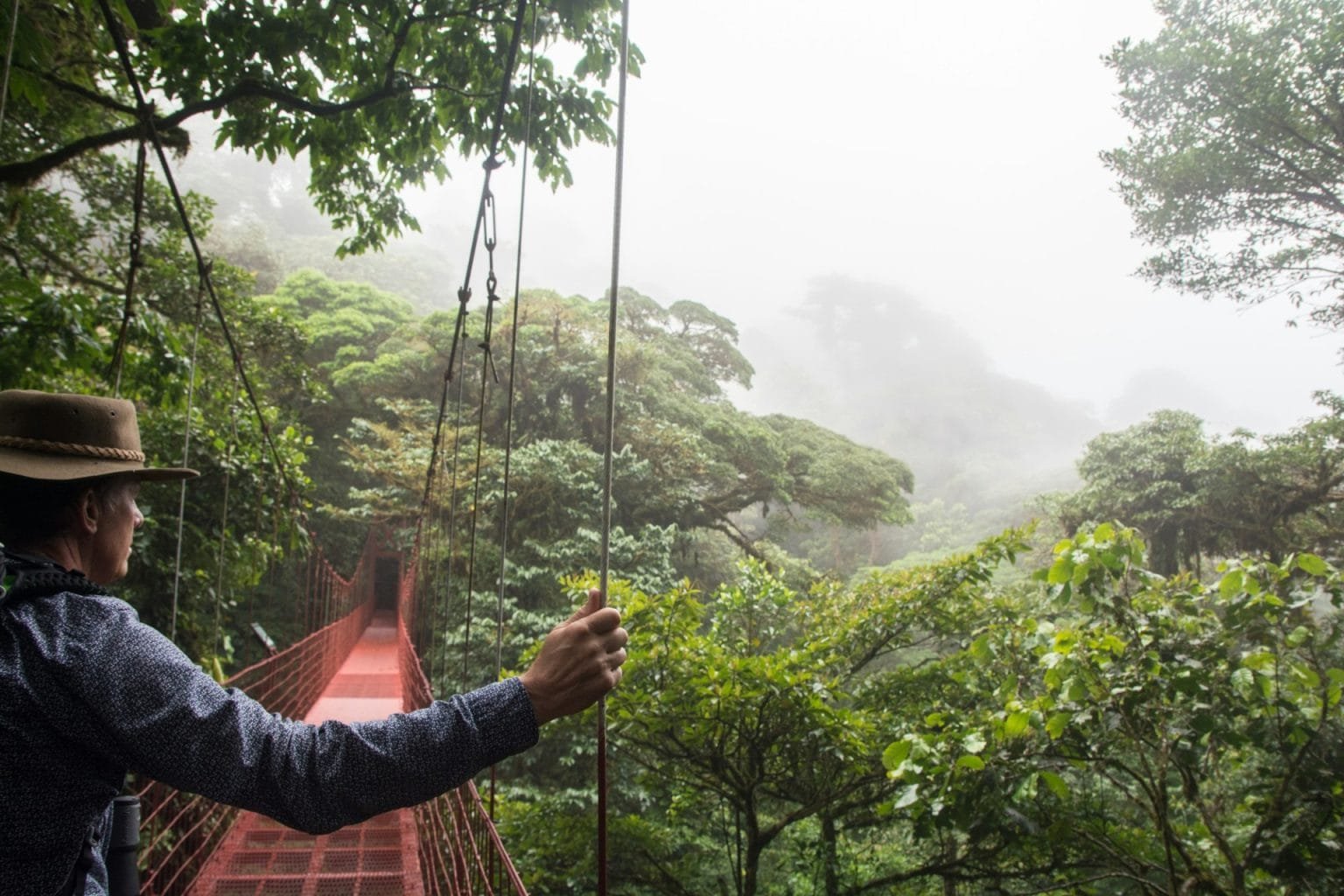Man walking towards a hanging bridge in the tropical rainforest in Monteverde