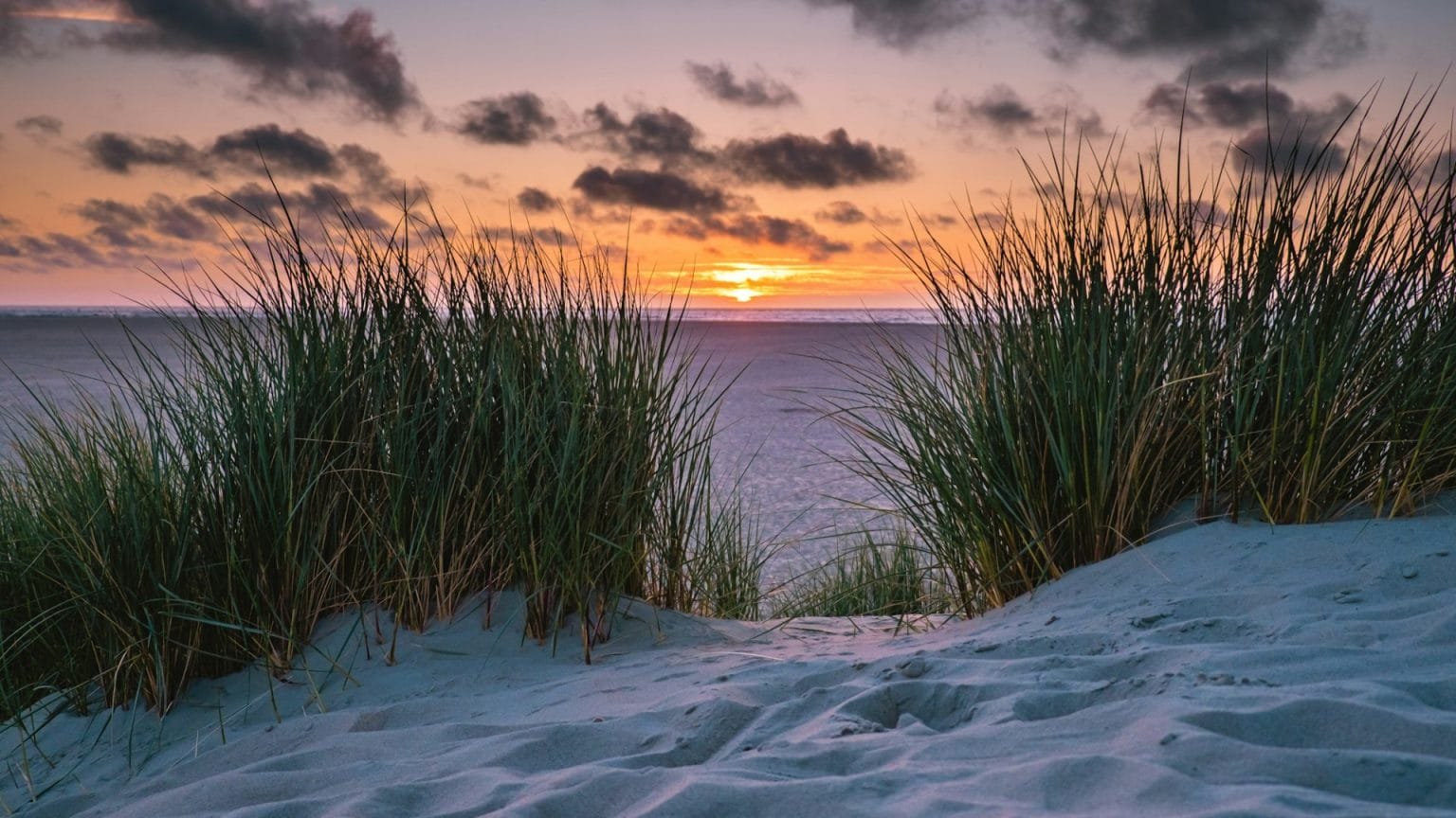 Texel beach during sunset Netherlands Dutch Island Texel