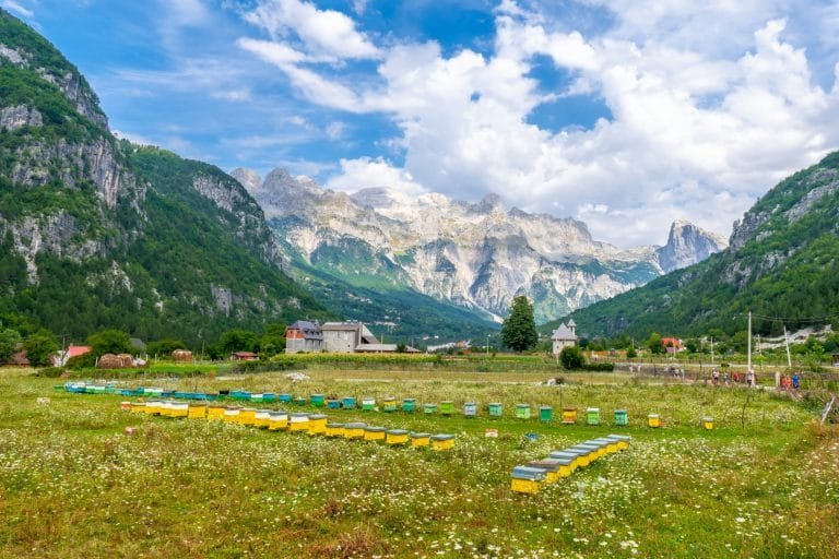 Honey harvest in the valley of Theth national park, Albania. albanian alps. One of the Places to Visit in Albania