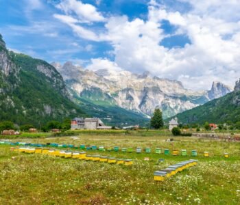 Honey harvest in the valley of Theth national park, Albania. albanian alps. One of the Places to Visit in Albania